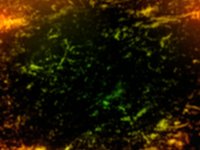 after effect, first project...