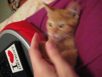 When Leon was a baby