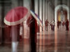 Motion Graphics