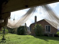 Taking Down the Tulle
