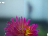 Apple's Color