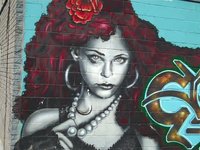 The Graffiti Of Montreal