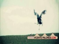 PREVIEW ENTRENAMIENTO CAB 12-09 "TU PUEDES VOLAR"