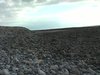 Nature Cinema