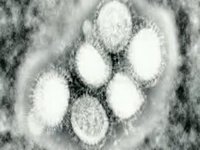 "OPERACION PANDEMIA"