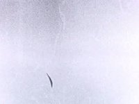 Gentlemen's Ride 16mm Film