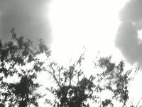 Time Lapse