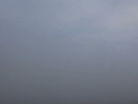 Fog & Water
