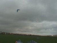 Flexifools