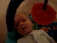 6 months old
