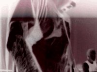 Three American bands in London 2003/04