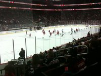 Mites On Ice