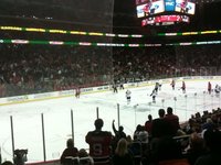 Hockey Fight