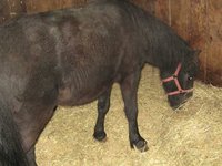 La Ferme Deschenes