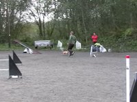 Klubbmesterskapet i agility 2009