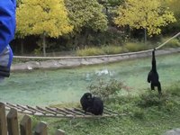 Columbus Zoo
