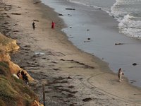 Surprise Engagement at Del Mar Beach