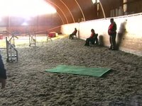 Ace agility 2