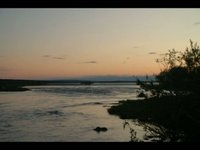 Vis video