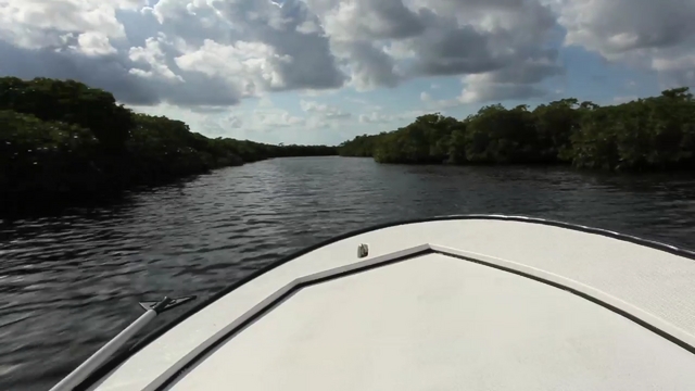 belize fly fishing
