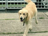 Canon 500D color correction test