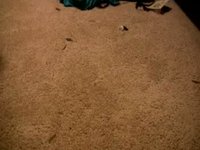 Thunder Boom Filler #1