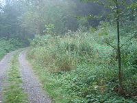 Rancher Ron 1 - Blackberry Bushes 0