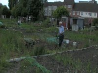 Allotments