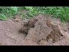 HD Nature