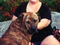 Saying Goodbye to Hammer, aka Bubba, the Best Dog Ever