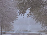First Snow