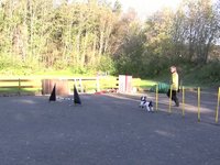 Bente og Tyra trener agility
