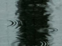 Series of Reflections (IV)