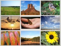 "What Is Stewardship?" (large version)