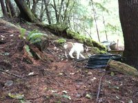 Porter doesn't love the woods