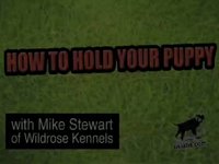 How to Hold Your Puppy