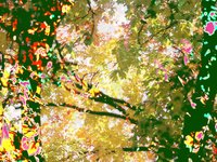 Trees in Fall in Chicago (Psychedelic Version)
