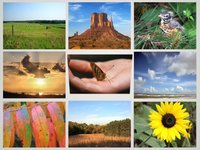 "What Is Stewardship?" (small version)