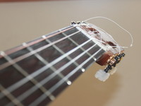 Fuck the broken D string