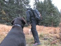 In the Face of Danger
