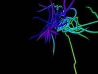 3D Growth study 1
