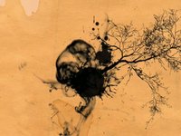 Fazil Say - Black Earth