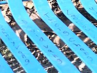 Anchorage Park Fix-its!
