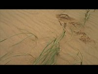 Khongor Sand Dunes, Mongolia