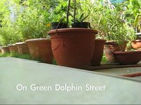On Green Dolphin Street