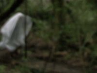 Subvertisement with Ghosts