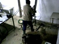 Adelanto investigación granjas de visones en España de Igualdad Animal