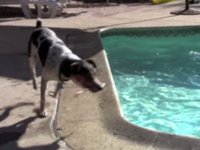 Bullet Gets Wet