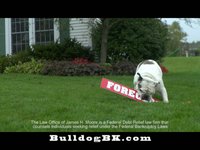 Bulldog Bankruptcy - Rockford