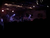 Dr. Dog - The Rabbit, The Bat & The Reindeer (10/20/89)